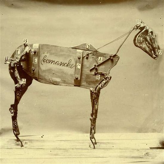 Cover for Chadwick Stokes · Horse Comanche, The (LP) (2015)