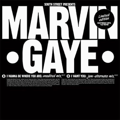 I Wanna Be Where You Are / I Want You - Marvin Gaye - Music - SOUTH STREET - 5060202596874 - May 5, 2023