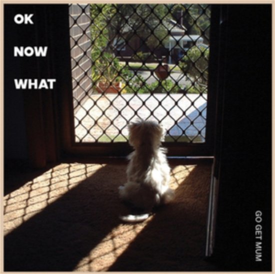 Cover for Go Get Mum · Ok Now What (LP) (2020)