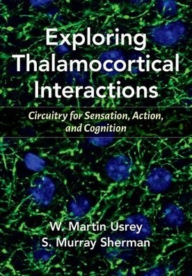 Cover for Usrey, W. Martin (Professor and Chair, Department of Neurobiology, Physiology &amp; Behavior, Professor and Chair, Department of Neurobiology, Physiology &amp; Behavior, University of California, Davis) · Exploring Thalamocortical Interactions: Circuitry for Sensation, Action, and Cognition (Paperback Book) (2022)