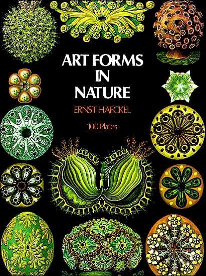 Cover for Ernst Haeckel · Art Forms in Nature - Dover Pictorial Archive (Paperback Bog) [Revised edition] (2000)