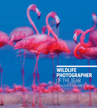 Cover for Rosamund Kidman Cox · Wildlife Photographer of the Year: Highlights Volume 5 (Pocketbok) (2020)