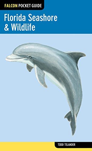 Cover for Todd Telander · Florida Seashore &amp; Wildlife - Falcon Pocket Guides (Paperback Book) [First edition] (2014)