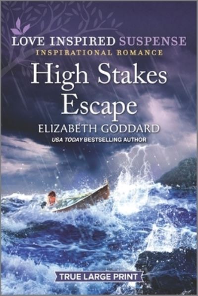 Cover for Elizabeth Goddard · High Stakes Escape (Paperback Book) (2021)