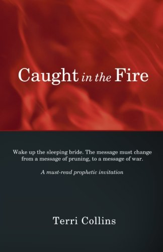 Cover for Terri Collins · Caught in the Fire (Paperback Book) (2010)