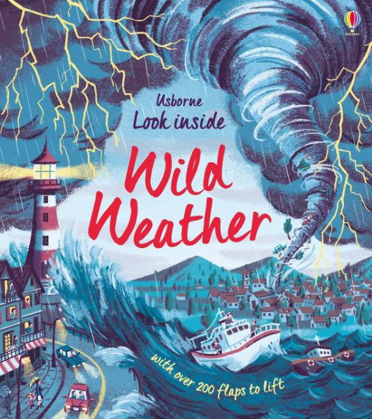 Look Inside Wild Weather - Look Inside - Emily Bone - Livros - Usborne Publishing Ltd - 9781474968874 - 28 de maio de 2020