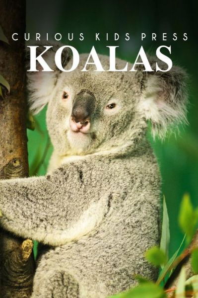 Cover for Curious Kids Press · Koalas - Curious Kids Press (Paperback Book) (2014)