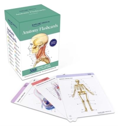 Cover for Joanne Tillotson · Anatomy Flashcards (Cards) (2021)