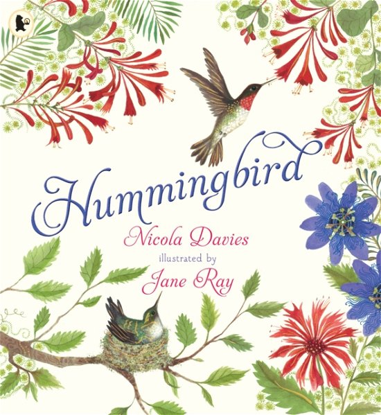 Nicola Davies · Hummingbird (Paperback Book) (2024)