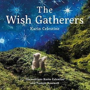 Cover for Karin Celestine · The Wish Gatherers (Hardcover Book) (2022)
