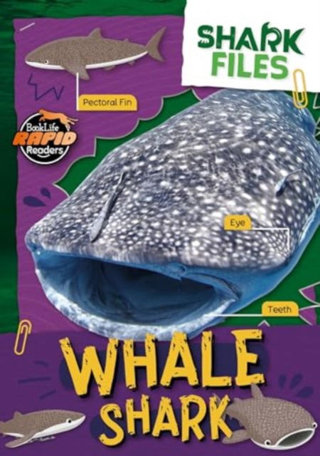 Cover for Robin Twiddy · Whale Shark - Shark Files (Paperback Book) (2024)