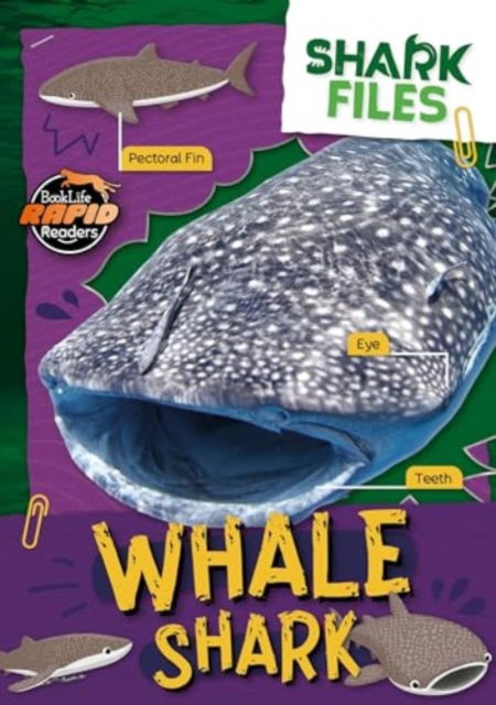 Whale Shark - Shark Files - Robin Twiddy - Kirjat - BookLife Publishing - 9781805056874 - perjantai 1. marraskuuta 2024