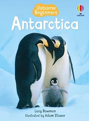 Antarctica - Lucy Bowman - Books - - 9781835404874 - January 7, 2025