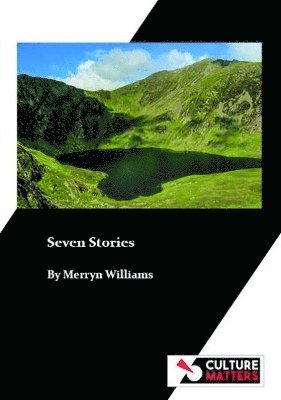 Cover for Merryn Williams · Seven Stories (Taschenbuch) (2025)