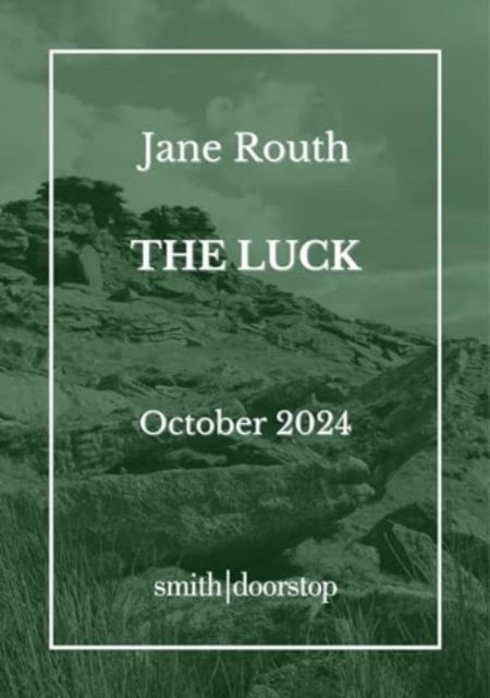 Cover for Jane Routh · The Luck (Paperback Book) (2024)