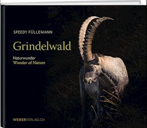 Cover for Speedy Füllemann · Grindelwald (Book) (2023)