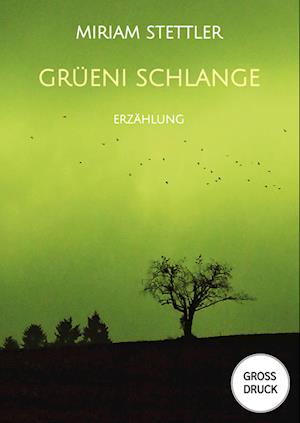 Cover for Miriam Stettler · Grüeni Schlange (Paperback Book) (2022)