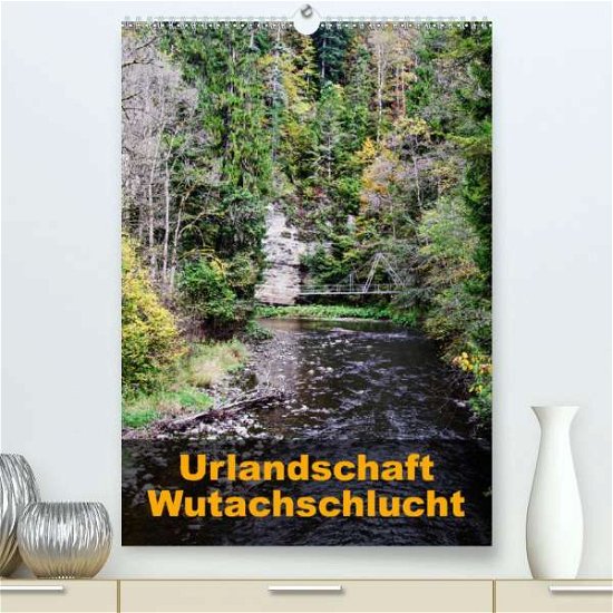 Cover for Hug · Urlandschaft Wutachschlucht (Premiu (Book)