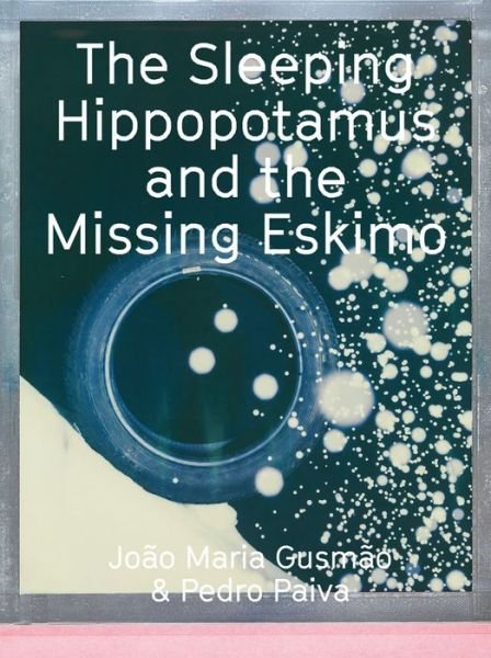 Cover for Joao Maria Gusmao &amp; Pedro Paiva: The Sleeping Hippotalamus and the Missing Eskimo (Paperback Book) (2016)