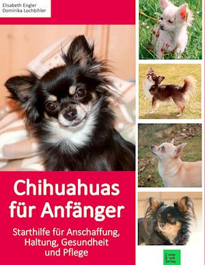 Cover for Elisabeth Engler · Chihuahuas fÃ¼r AnfÃ¤nger (Paperback Book) (2017)