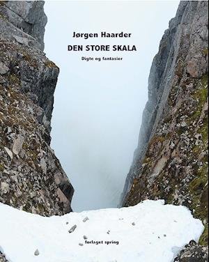 Cover for Jørgen Haarder · Den store skala (Sewn Spine Book) (2020)