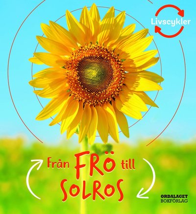 Livscykler: Från frö till solros - Camilla De la Bédoyère - Books - Ordalaget Bokförlag - 9789174693874 - January 14, 2021