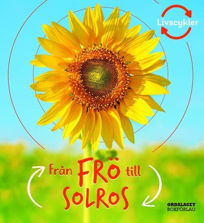 Cover for Camilla De la Bédoyère · Livscykler: Från frö till solros (Indbundet Bog) (2021)