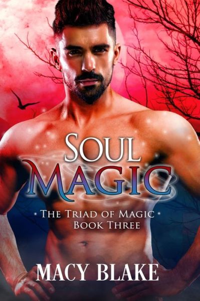 Cover for Poppy Dennison · Soul Magic (Paperback Book) (2020)