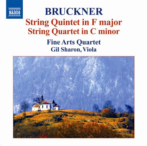String Quintet / String Quartet - Anton Bruckner - Musikk - NAXOS - 0747313078875 - 9. desember 2008