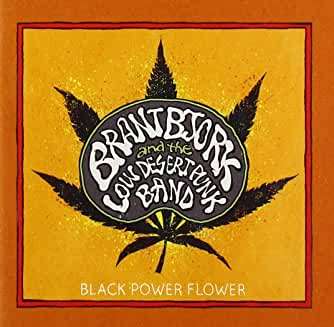 Black Power Flower - Bjork, Brant and the Low Desert Punk Band - Música - NAPALM RECORDS - 0840588122875 - 19 de fevereiro de 2021