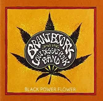 Cover for Brant And The Low Desert Punk Bjork · Black Power Flower (CD) (2020)