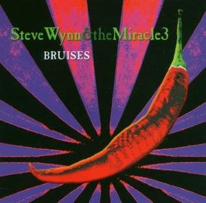 Bruises - Steve Wynn - Musiikki - BLUE ROSE - 4028466303875 - torstai 2. helmikuuta 2006