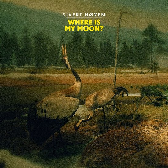 Cover for Sivert Hoyem · Where Is My Moon? (10&quot;) (2019)