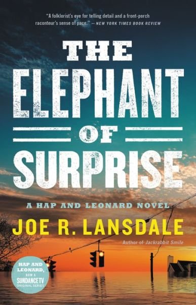 Cover for Joe R. Lansdale · The Elephant of Surprise (Hardcover Book) (2019)