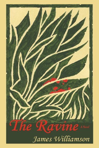 Cover for James Williamson · The Ravine, a Novel (Paperback Bog) [First edition] (2011)