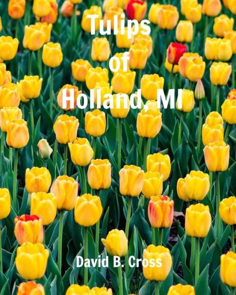 Cover for David B. Cross · Tulips of Holland, MI (Paperback Book) (2018)