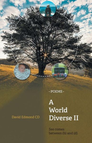 Cover for David Edmond · A World Diverse Ii: See Comes Between (B) and (D) (Paperback Book) (2015)