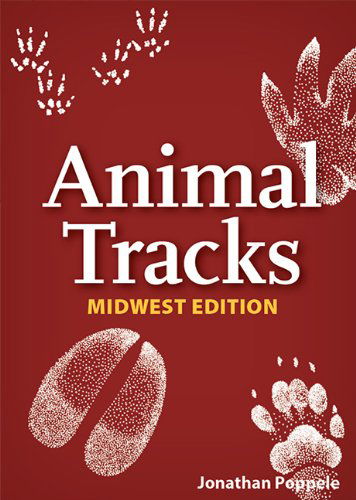 Animal Tracks of the Midwest Playing Cards - Jonathan Poppele - Kirjat - Adventure Publications - 9781591934875 - keskiviikko 9. huhtikuuta 2014