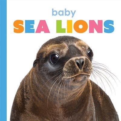 Cover for Kate Riggs · Baby Sea Lions (Book) (2020)