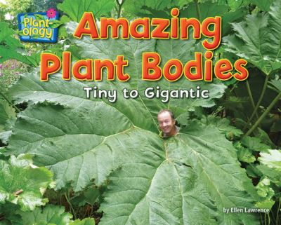 Cover for Ellen Lawrence · Amazing Plant Bodies (Book) (2020)