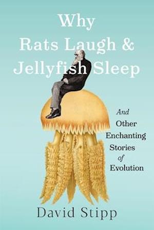 Cover for David Stipp · Why Rats Laugh and Jellyfish Sleep: and Other Enchanting Stories of Evolution (Hardcover Book) (2025)