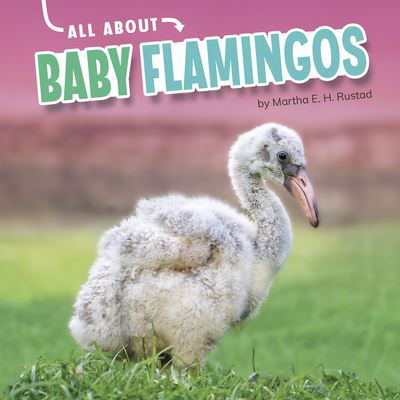 Cover for Martha E. H. Rustad · All about Baby Flamingos (Book) (2021)