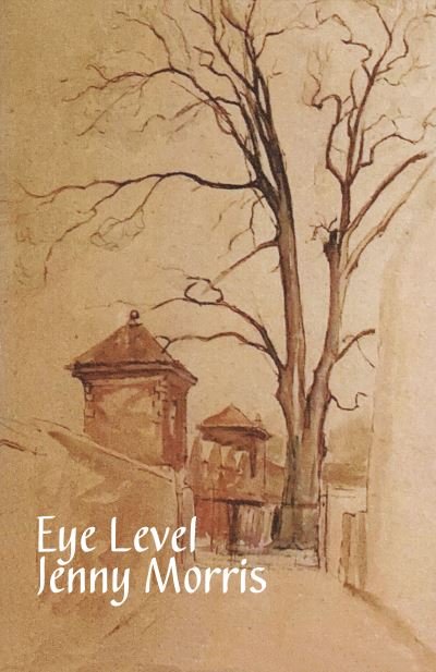 Cover for Jenny Morris · Eye Level (Paperback Bog) (2024)