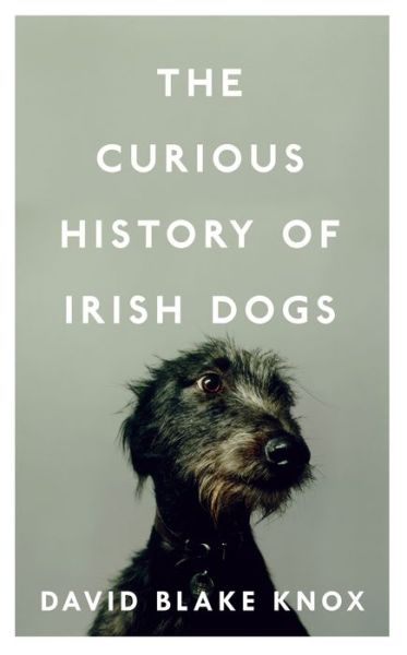 Cover for David Blake Knox · The Curious History of Irish Dogs (Hardcover Book) (2017)