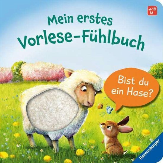 Cover for Kathrin Lena Orso · Mein erstes Vorlese-Fühlbuch: Bist du ein Hase? (Toys) (2022)