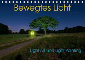 Cover for Gerard · Bewegtes Licht - Light Art und L (Buch)