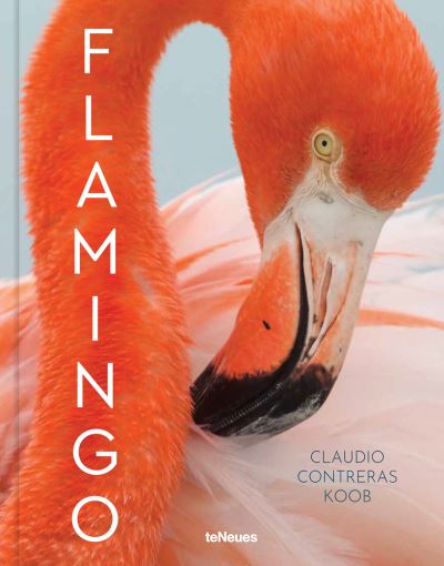 Cover for Claudio Contreras Koob · Flamingo (Hardcover Book) (2022)