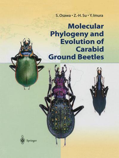 Cover for S. Osawa · Molecular Phylogeny and Evolution of Carabid Ground Beetles (Hardcover Book) [2004 edition] (2004)