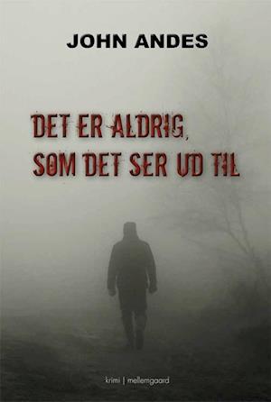 Cover for John Andes · Det er aldrig, som det ser ud til (Sewn Spine Book) [1st edition] (2021)