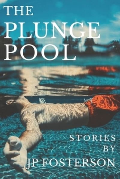 Cover for Jp Fosterson · The Plunge Pool: Stories By JP Fosterson (Paperback Book) (2021)